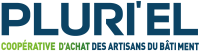 LOGO-PLURIEL